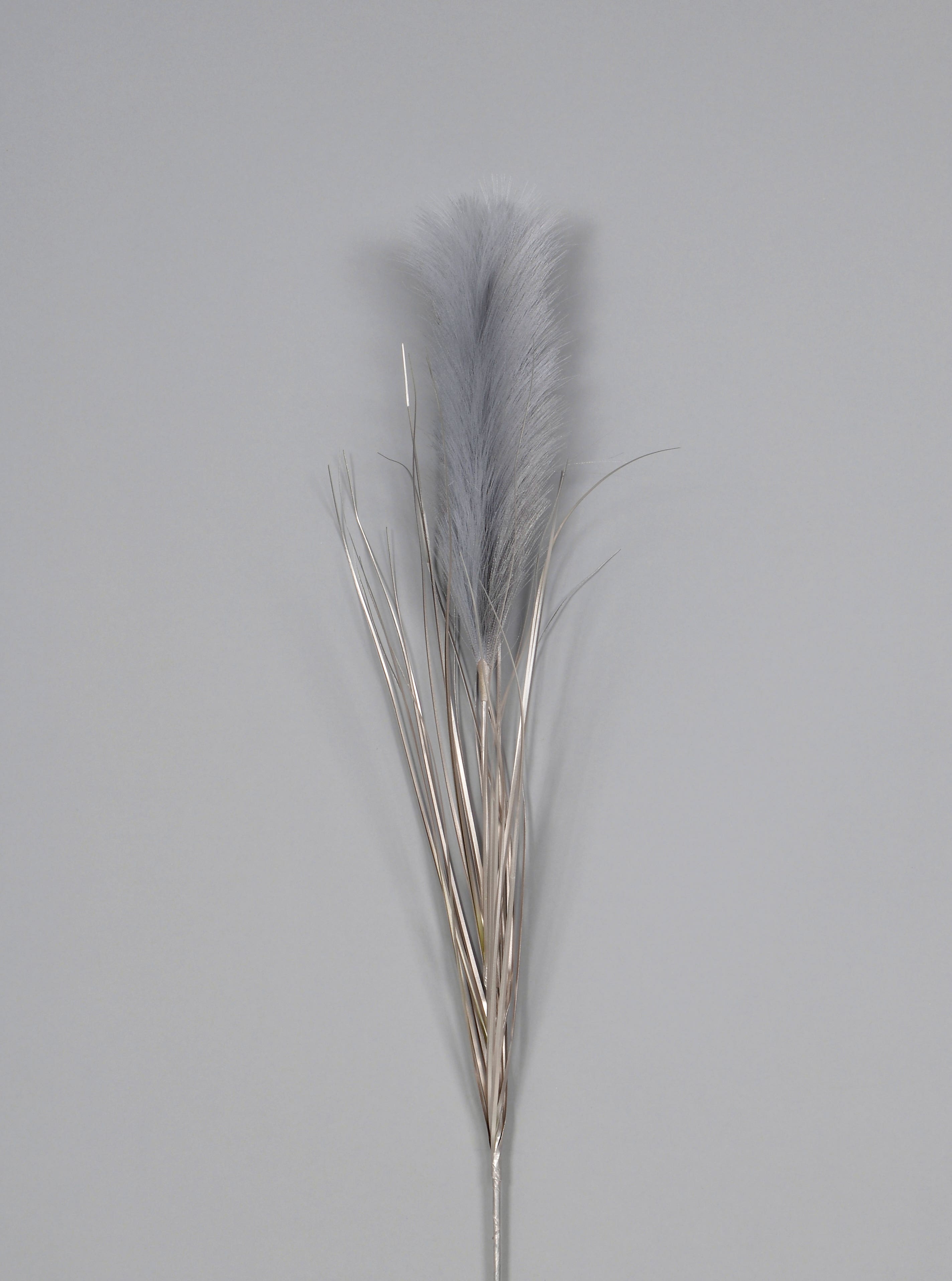 42 Silver Pampas Spray