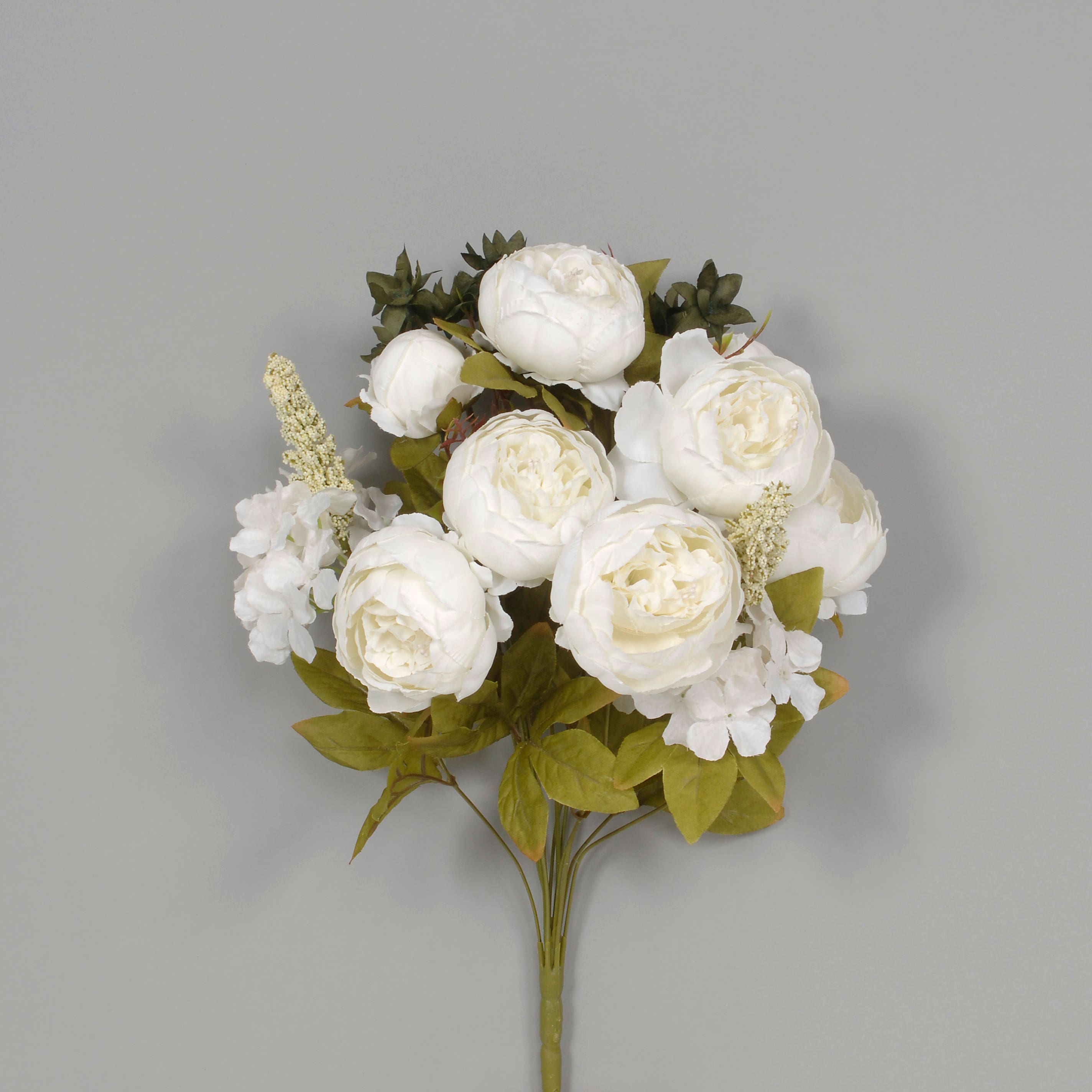 20 Cream Peony Hydrangea Bush