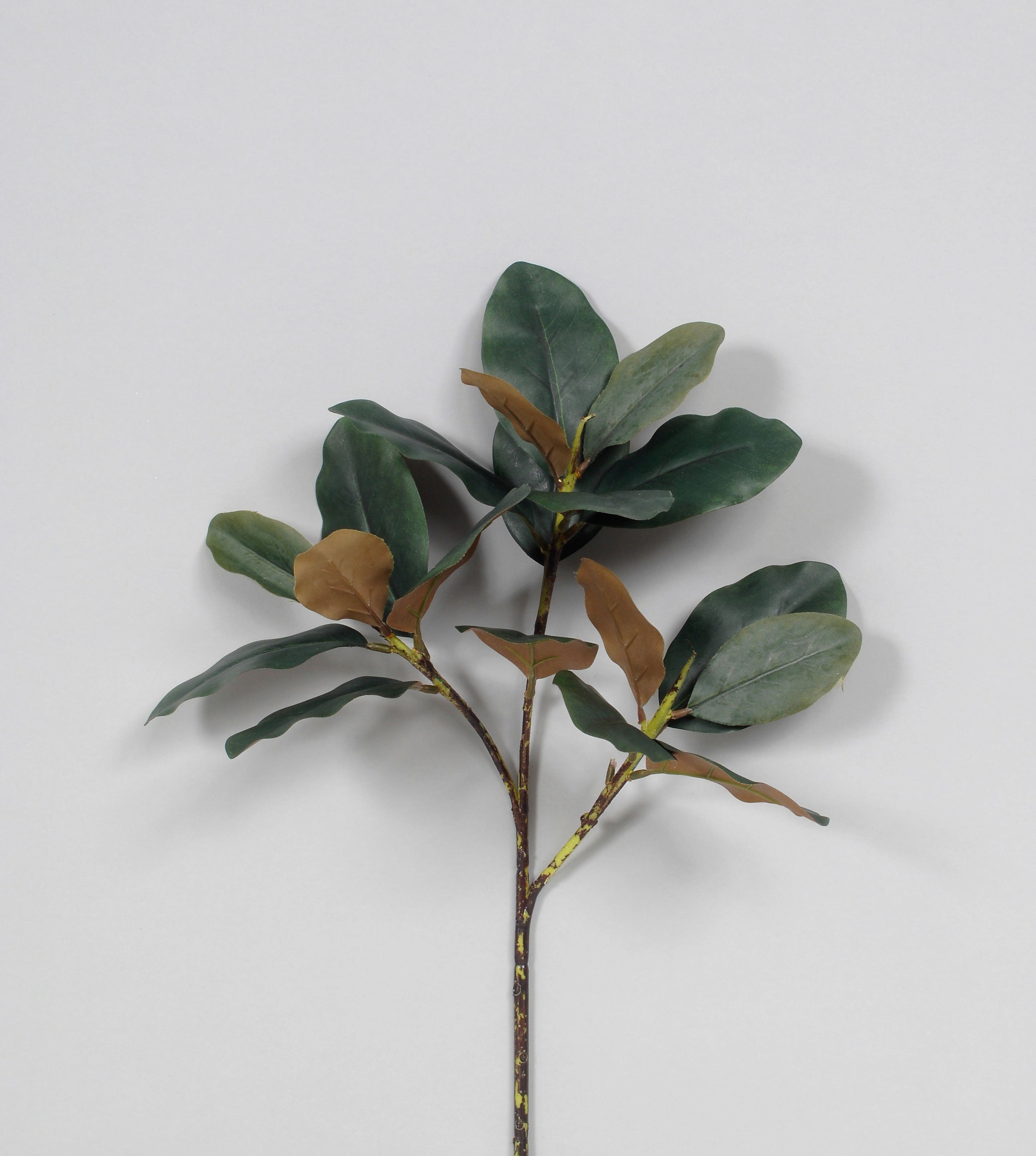 30 Green Magnolia Leaf Spray