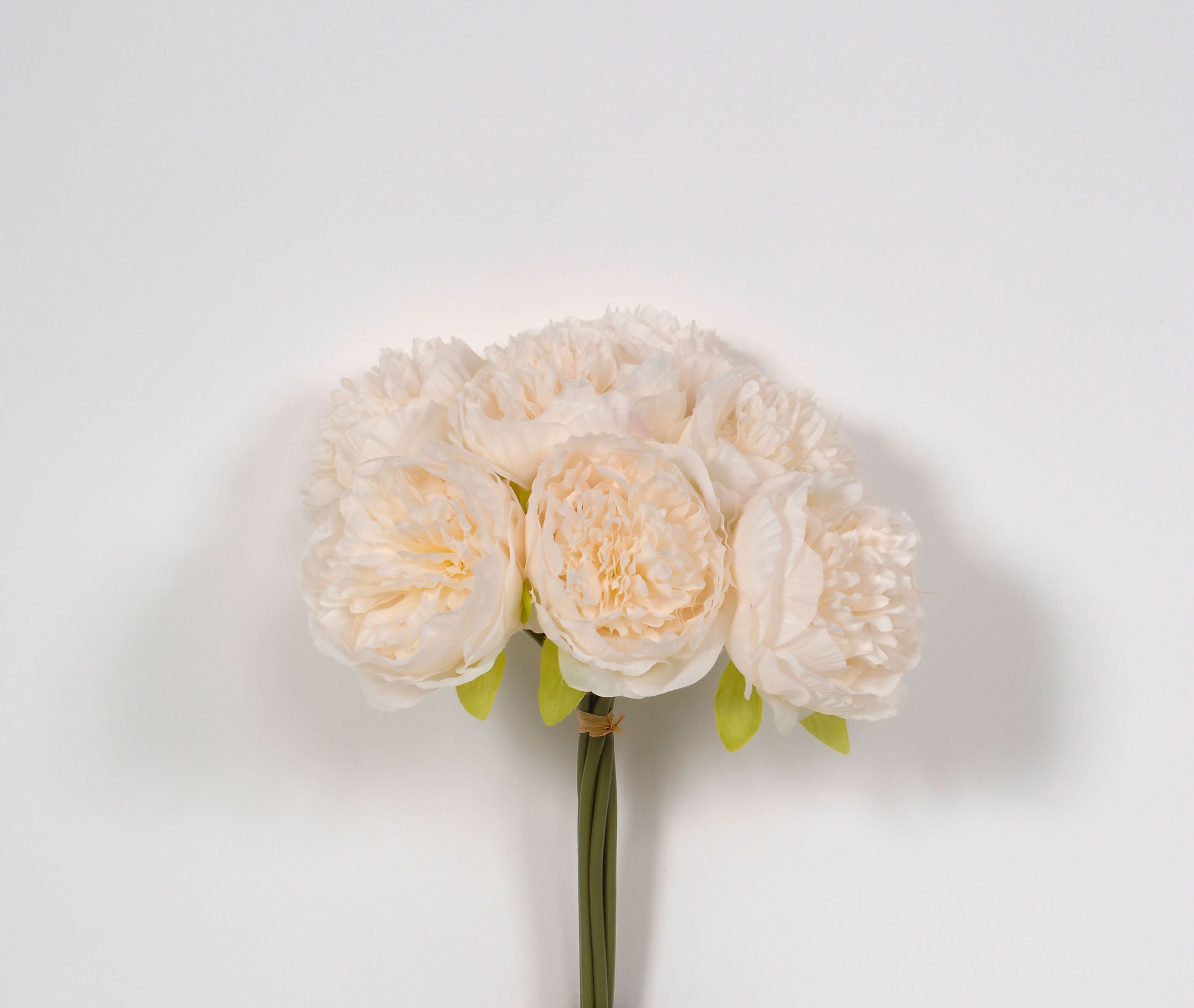 13 Cream Peony Spray