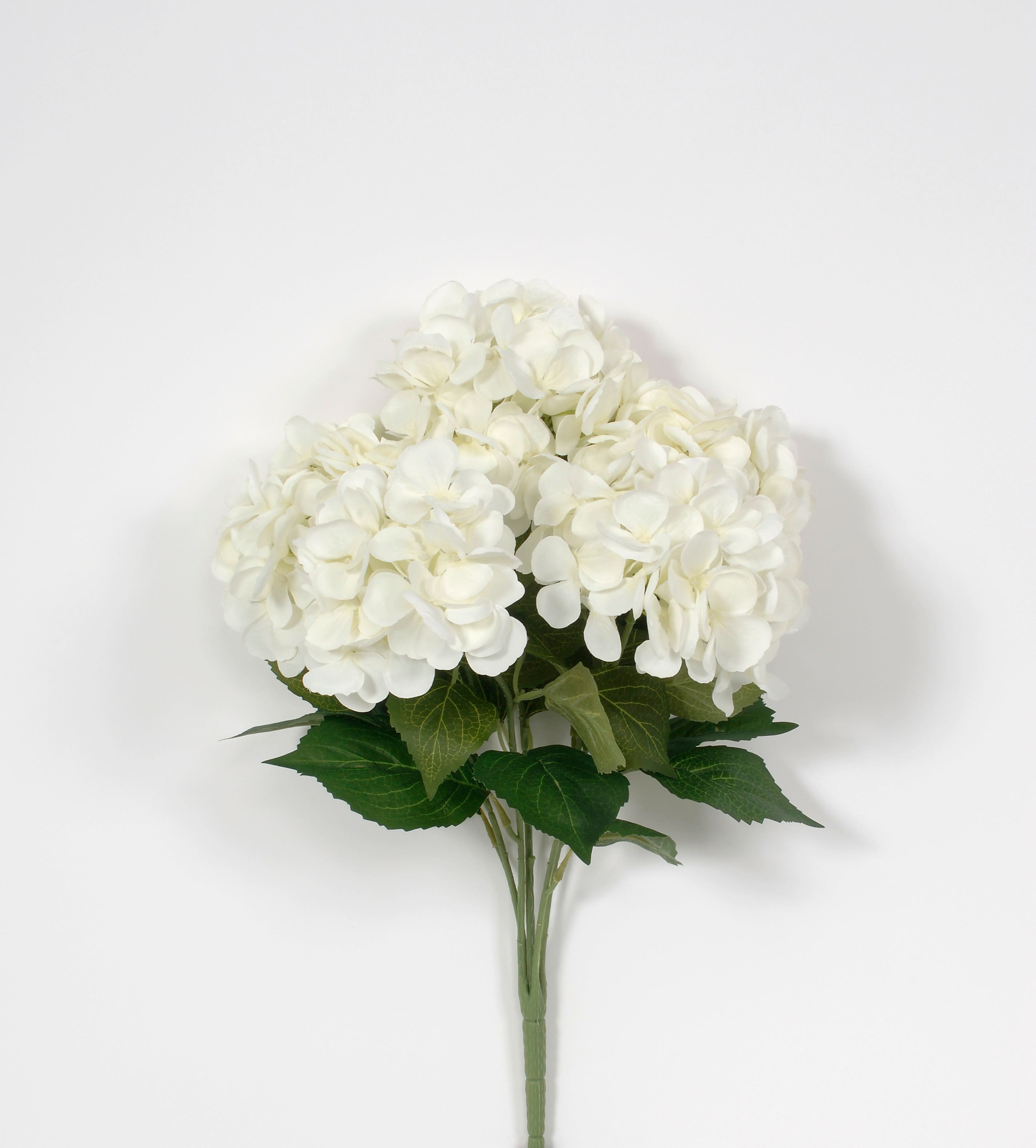 23 Cream Hydrangea Stem