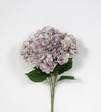 23 Blue Purple Hydrangea Stem