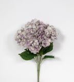 23 Lilac Cream Hydrangea Stem