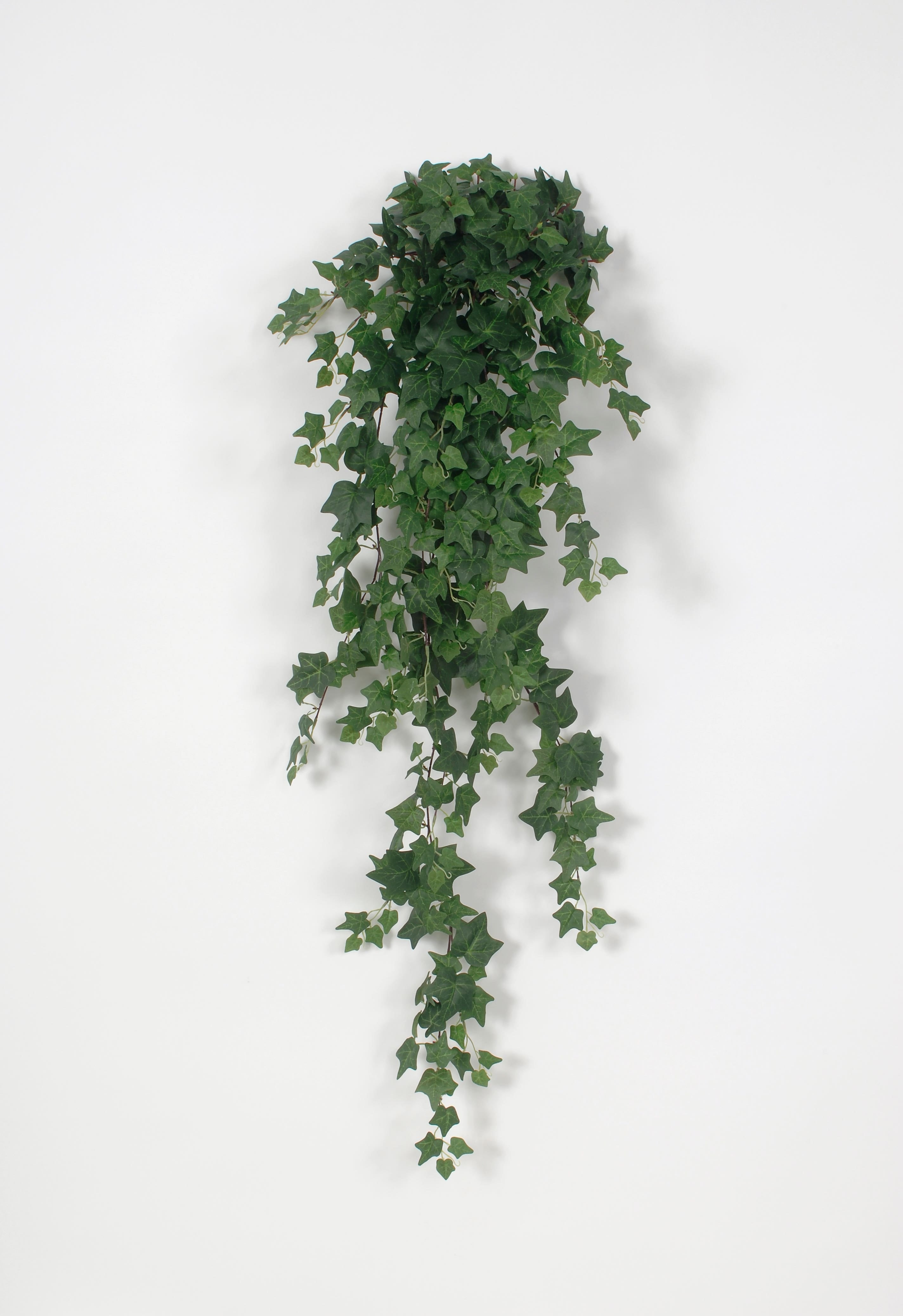 48 Green Ivy Leaves Spray