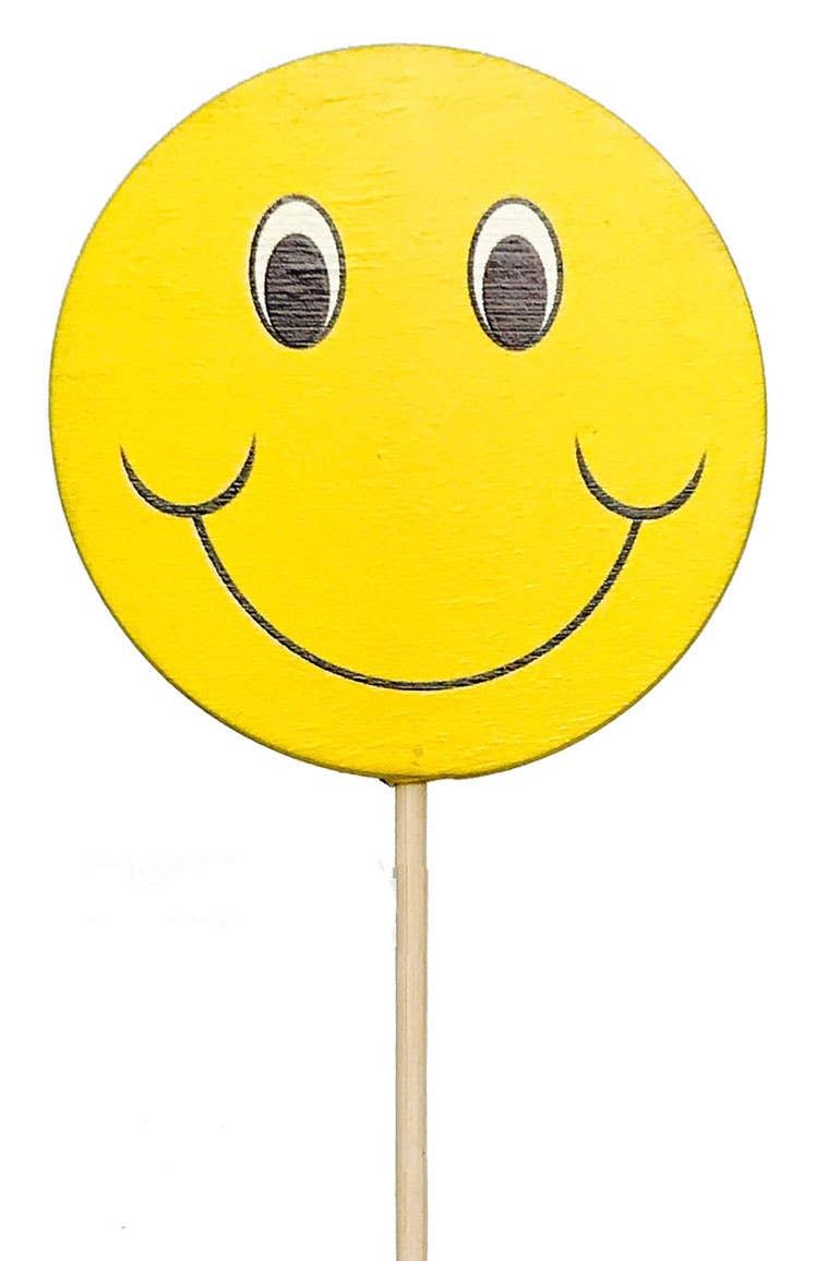 21 Smiley Face Picks, 12-Pack