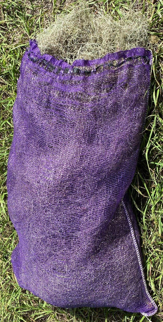 8 lbs Gray Fresh Spanish Moss