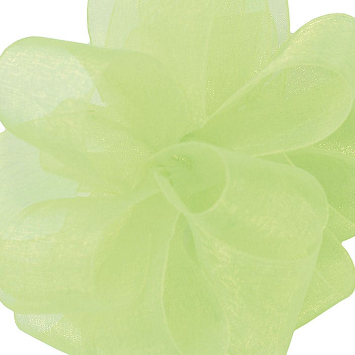 #9 Clean Green Sheer Ribbon, 100-Yards