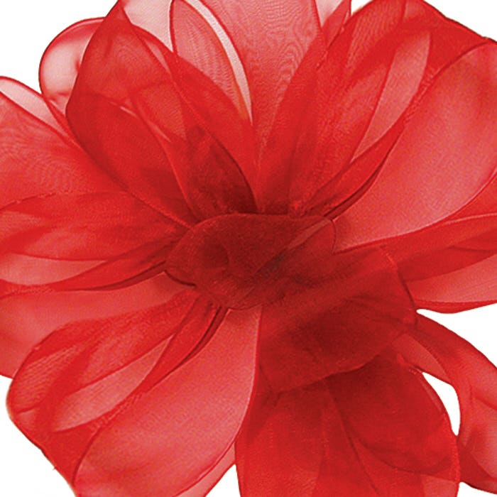 #9 Red Sheer Ribbon, 100-Yards
