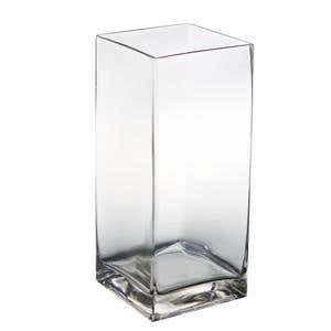 6 x 12 Clear Glass Vase