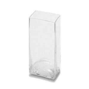 4 x 8 Clear Glass Cube