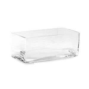 8 x 4 x 4 Clear Glass Vase
