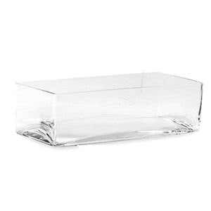 12 x 4 x 4 Clear Glass Planter
