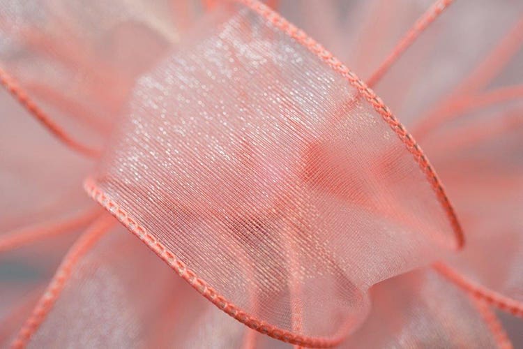 #9 Pink Wired Chiffon Ribbon, 50-Yards