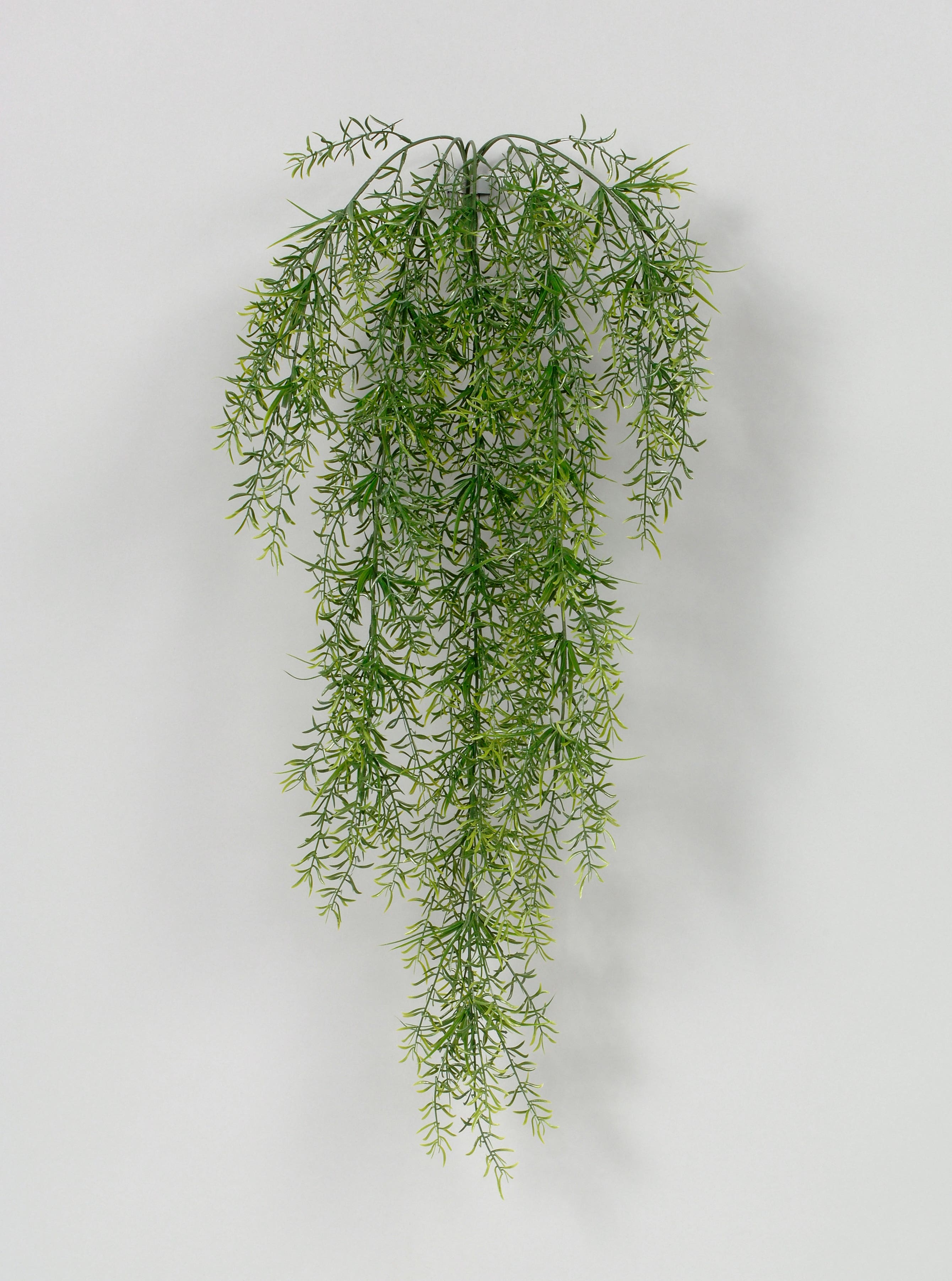 34 Green Wild Grass Vine